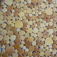 Мозаика: Мозаика из керамических обломков